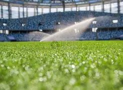 怪物属性狂,分钟轻松破,新玩家登录,开云体育,开云体育app,开云体育官网,开云体育下载,开云体育入口